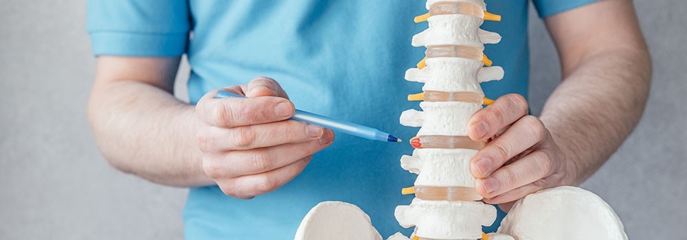 Hernia behandeling bij Fysiopark